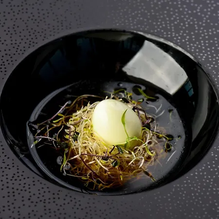 卢布尔雅那洲际酒店 卢布尔雅那