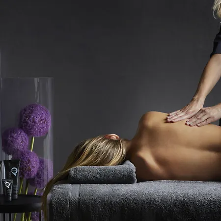 卢布尔雅那洲际酒店 5* 卢布尔雅那